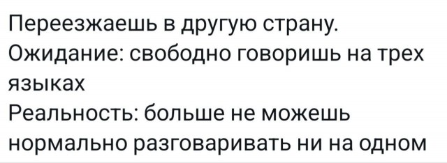 Всего понемногу. От 27.02.2025