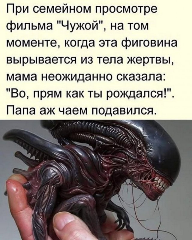 Так себе картинки 29.04.25