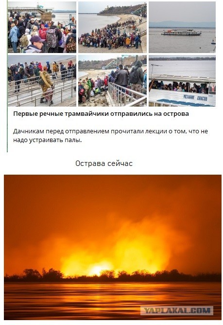 Дачники подожгли острова у Хабаровска