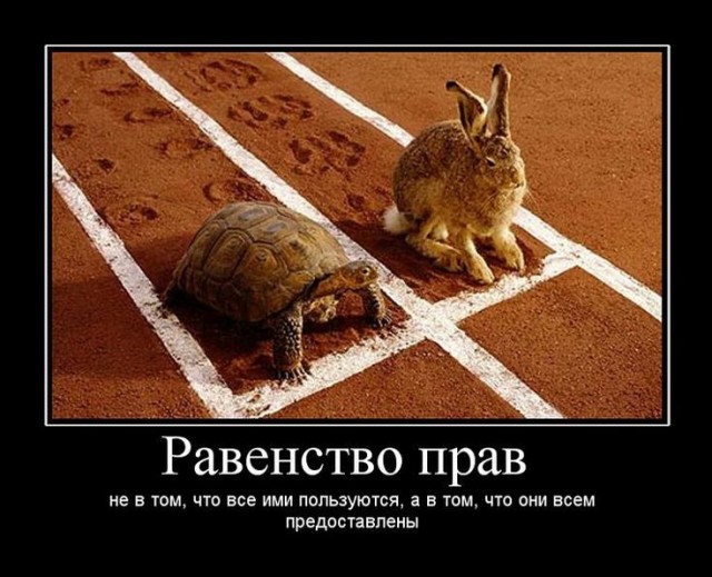 Прикольные и просто красивые картинки