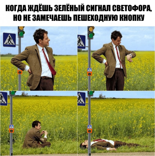 Так себе картинки 22.08.25