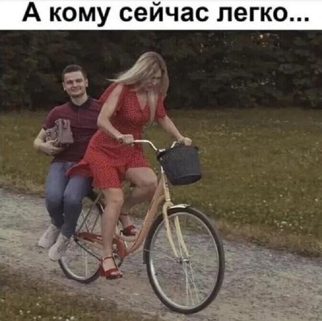 Так себе картинки 24.08.25
