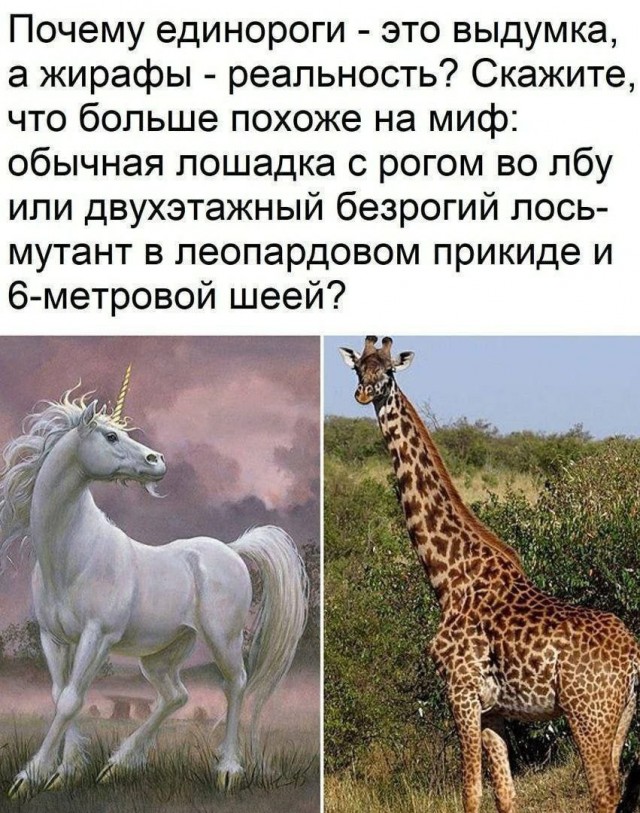 Картинки для деградации 84 (разной степени свежести)