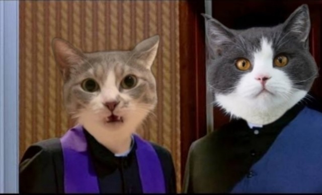 Знакомьтесь — китайская бамбуковая крыса