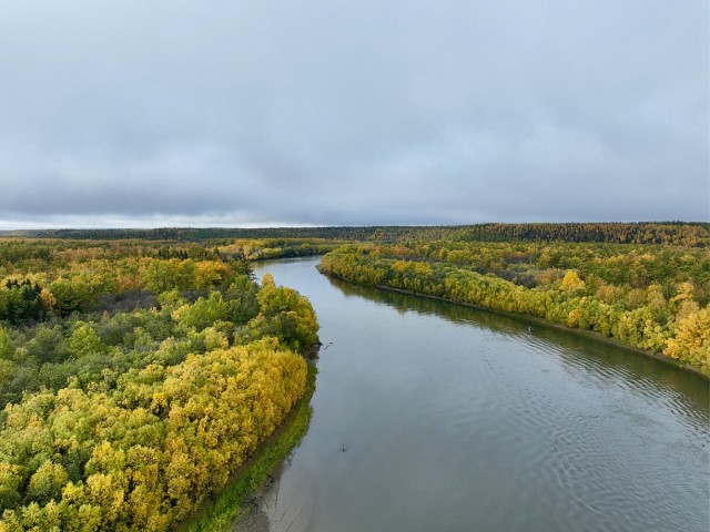 Дважды в одну реку