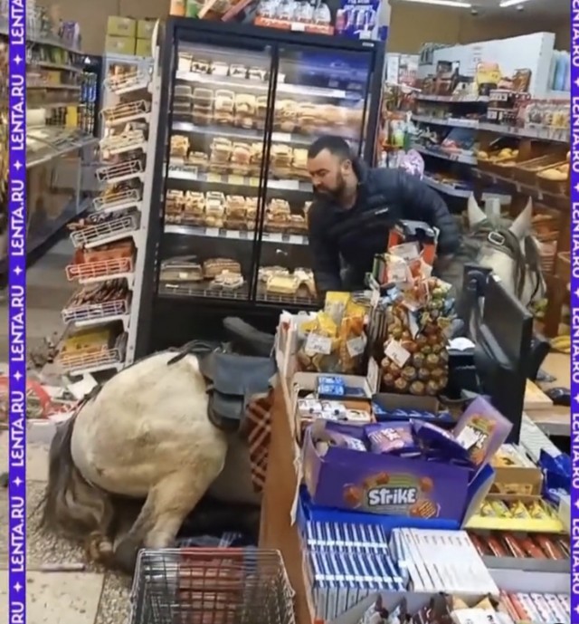 В магазин на коне, запрет то только с собаками нельзя.