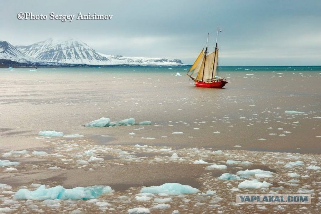 Красота! Лето на Ямале. Фото