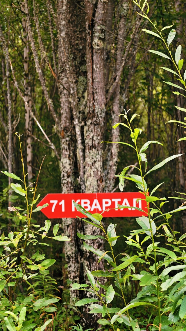 Сплав по Вишере от 71 квартала до Красновишерска.