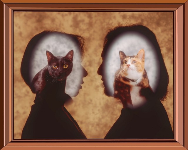 В Корее нашли фотостудию, которая делает лучшие семейные портреты, и всё вручную, никакого ИИ