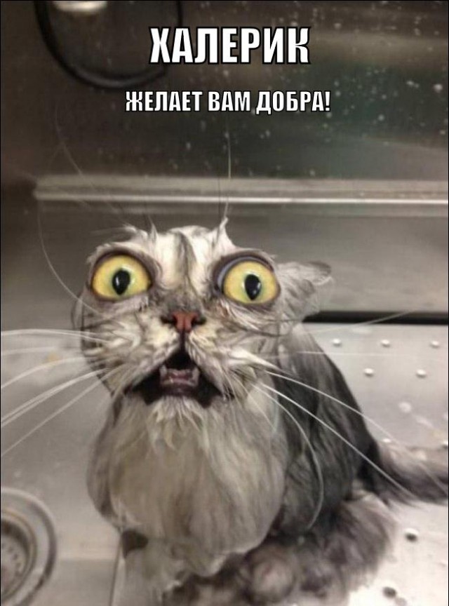 Давайте знакомиться