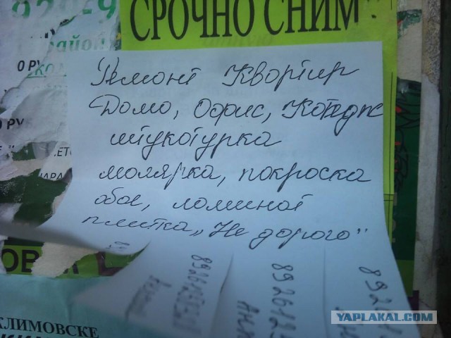 Такое возможно только в России