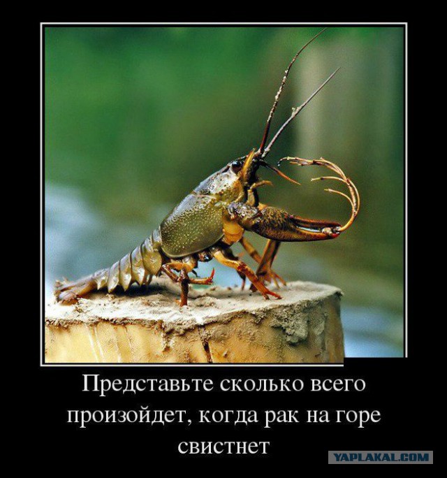 Поднимаем настроение