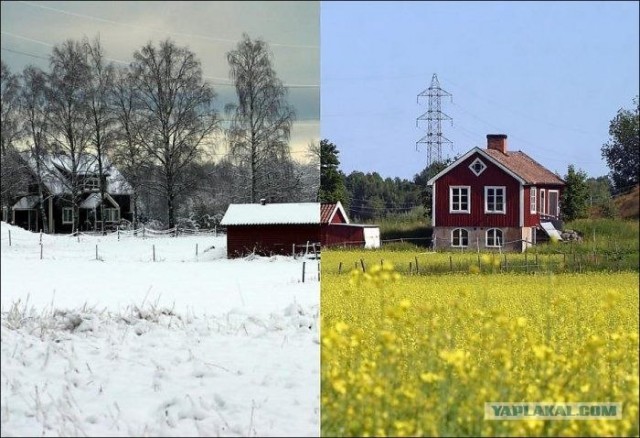 Времена года в фотографиях