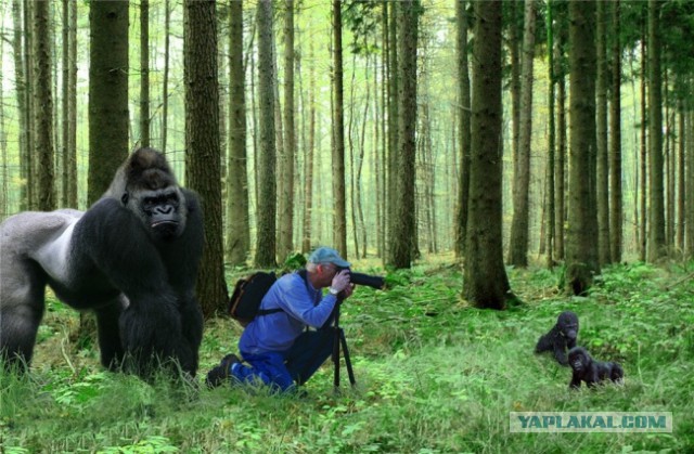 10 фотографий, сделанных "за секунду до..."