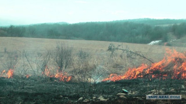 Проверка паспортного режима