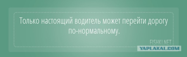 Ну и зачем по сторонам смотреть, подумал пешеход