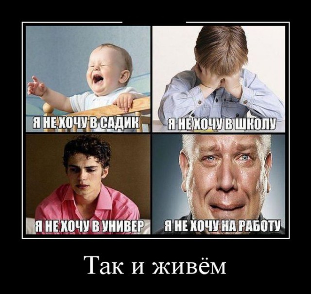 Веселые картинки