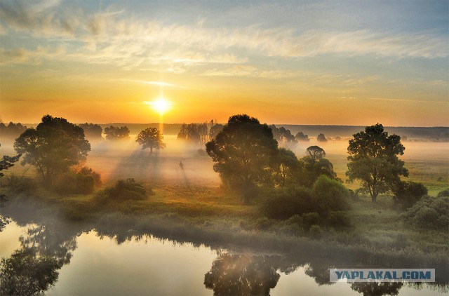 Подборка картинок
