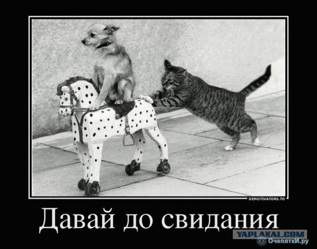 Путин повысил акцизы на бензин