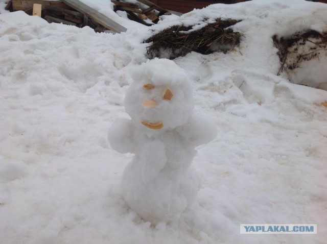 Строительство дома на даче