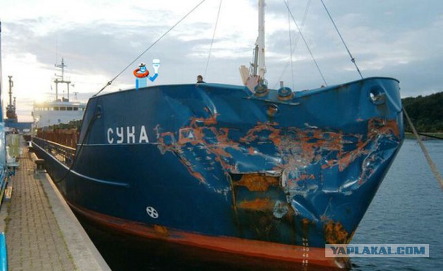 В таких ситуациях лучше и не скажешь!