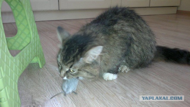 Жизнь - она всегда течёт по спирали...