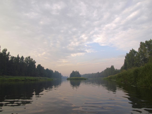 Несколько летних дней на Мологе. Фотоподборка.
