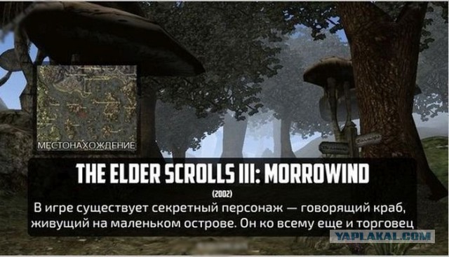 The Elder Scrolls (древние свитки) - краткая история мира