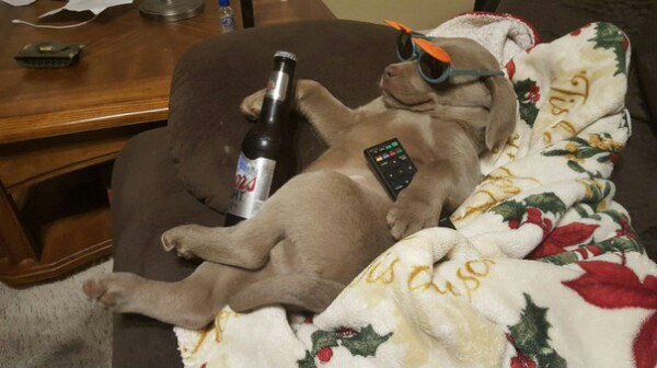 144 картинки для поднятия настроения!