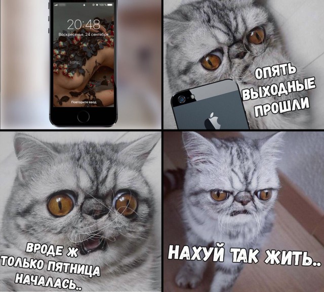 Всякая всячина