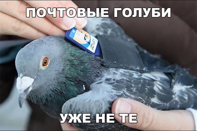 Нестандартный юмор