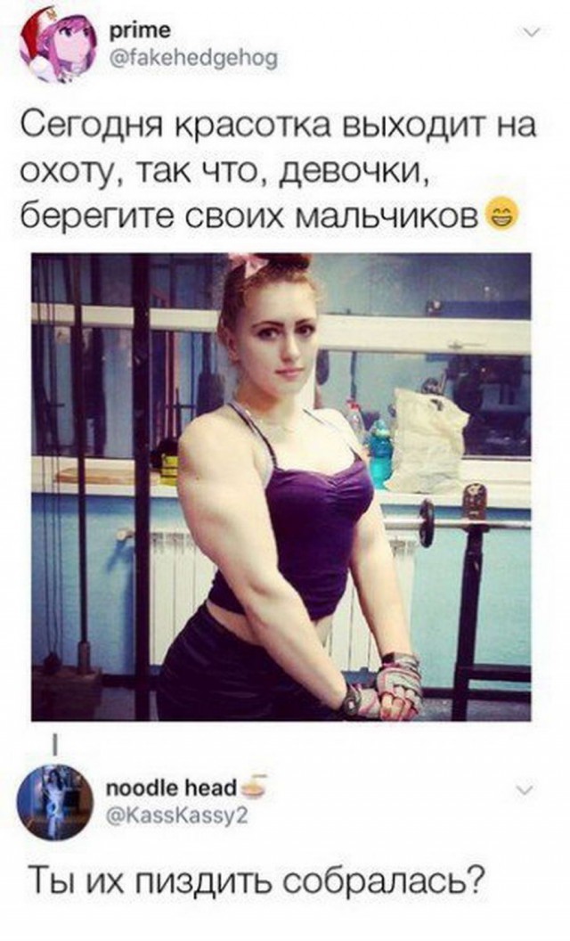 Скотсети и прочие интернеты 23.04.18
