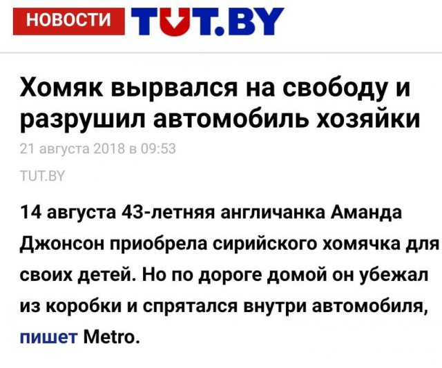 "Лучшие" заголовки отечественных СМИ за последнее время