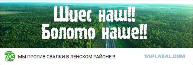 «Будем «воевать», а что делать?» В России появились «зеленые партизаны»