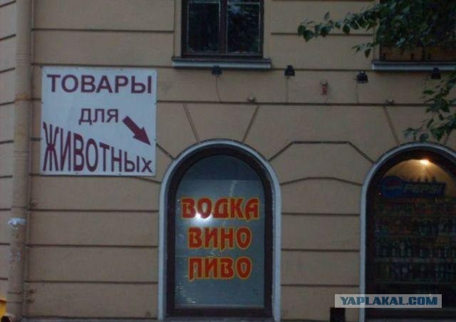 Товары для животных
