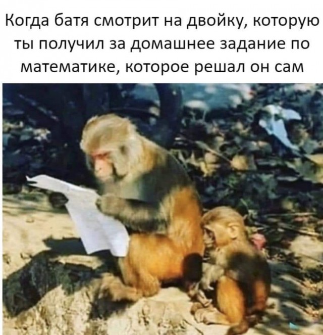 Бредзона 12.01.2020