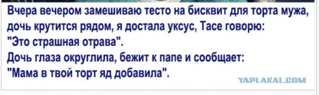 Картинки атавсюду. Часть 4 от 25 февраля 2020