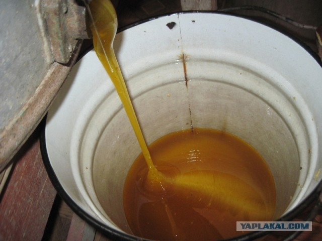 20 снимков «с запахами», которые можно почувствовать сквозь монитор