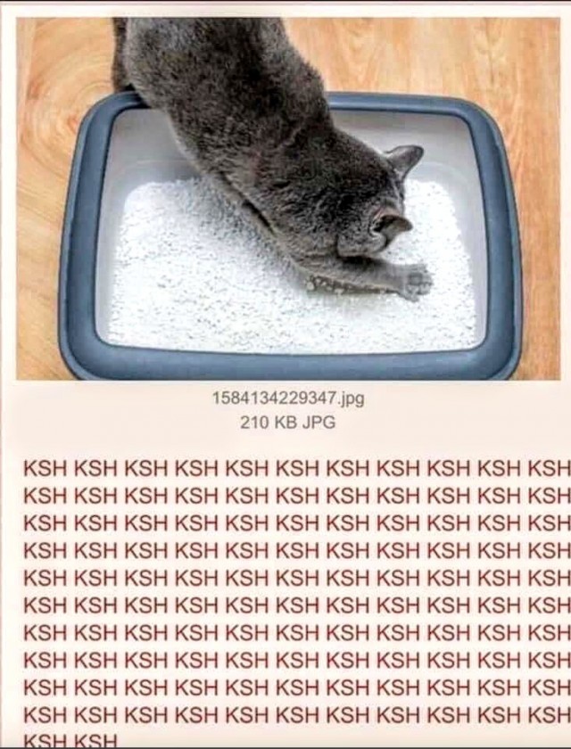 Немного картинок для настроения 119