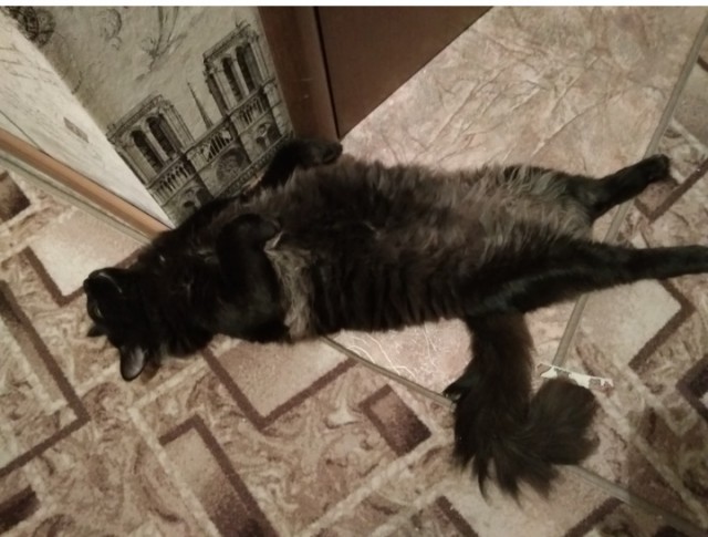Шериф