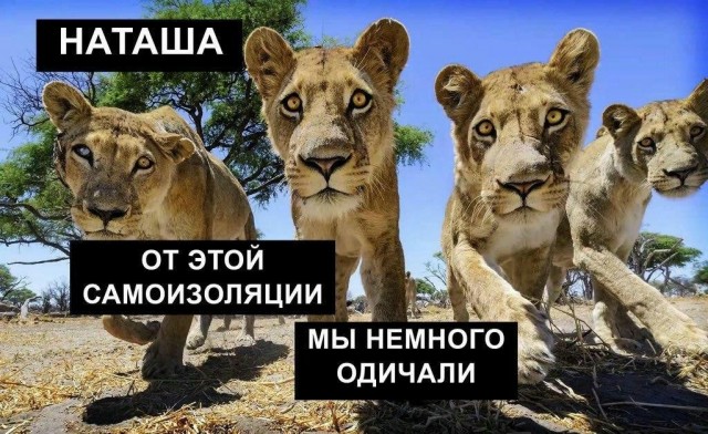 Наташа, вставай!