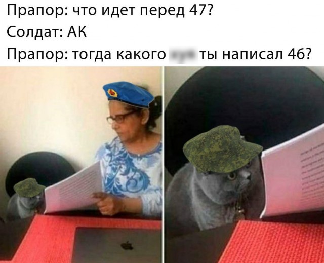 Картинки и мемы для настроения 018