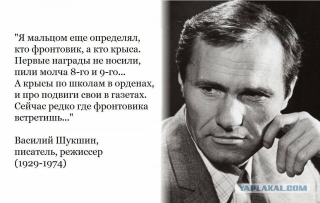 Ку, Пацаки!
