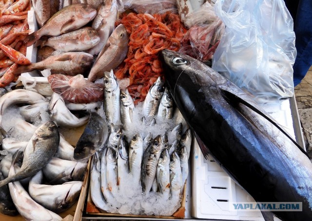Что было бы, если все мужики развелись?