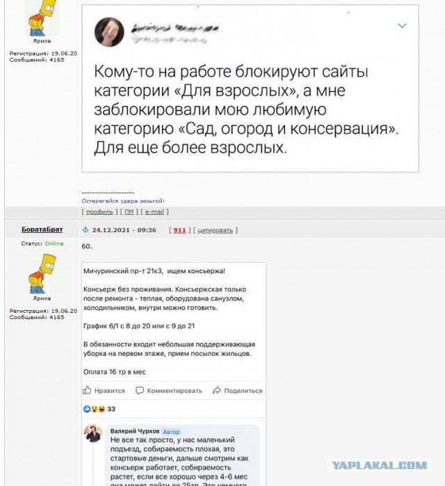 Всяческие картинки 24.12.2021