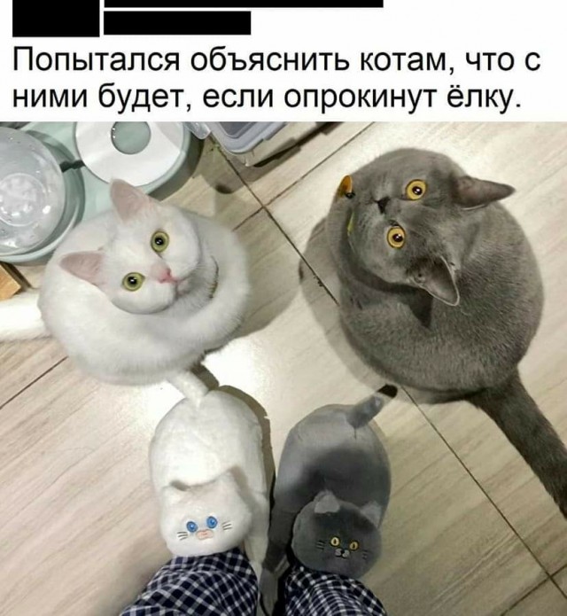Мрак, пошлятина, политота и баяны, всё как вы любите, дорогие деграданты