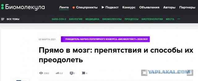 Гинцбург рассказал, как будут прививать от COVID-19 детей младше 5 лет