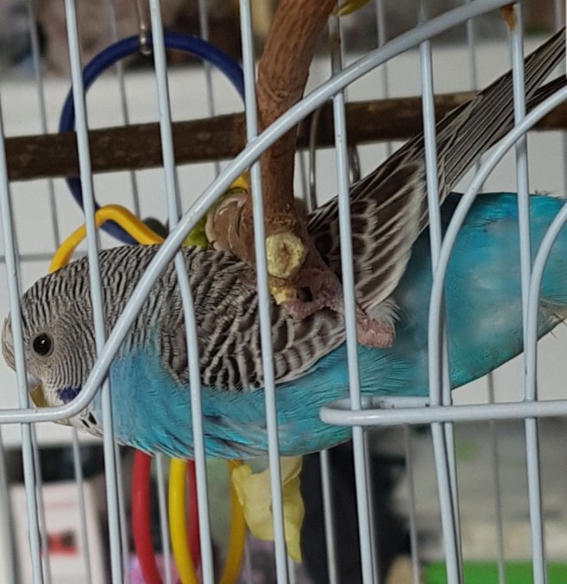 Рукоделие