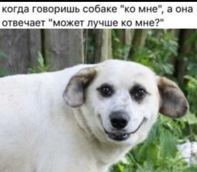 Поцелуй