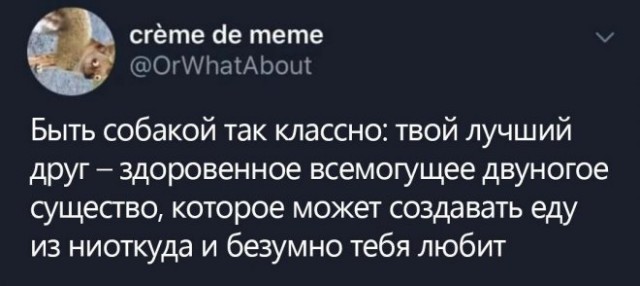 Картинки и мемы. Выходные близко...